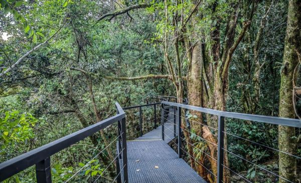 Monteverde: Cloud Forest Lodge